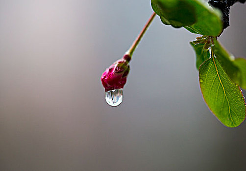 水点