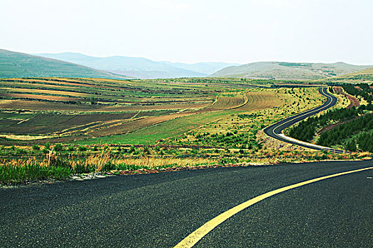 草原柏油路