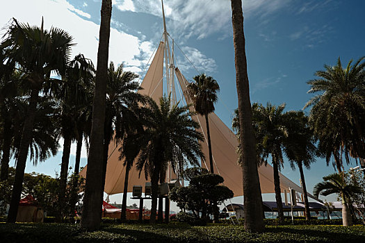 热带海边的棕榈树和帐篷
