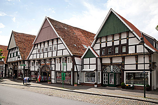 半木结构,房子,历史,地区,明斯特地区,区域,北莱茵威斯特伐利亚,德国,欧洲
