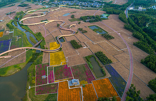 江苏省宿迁市三台山衲田花海