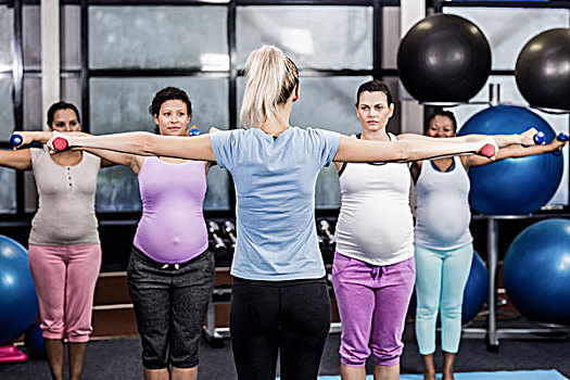 女性,训练,孕妇,举起,哑铃,休闲,中心