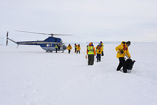 南极,威德尔海,雪丘岛,直升飞机,降落,迅速,冰,游客