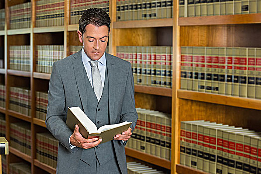 律师,读,书本,法律,图书馆