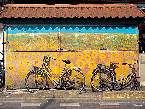 向日葵,组合,自行车,中心,阿姆斯特丹