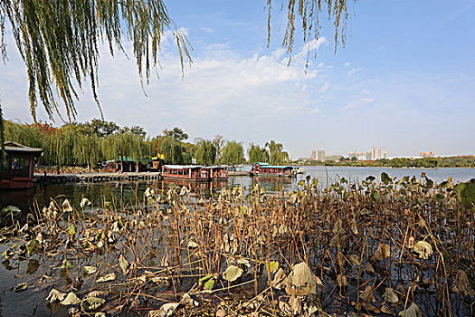 湖面风景