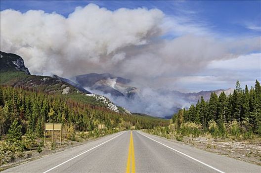 森林火灾,班芙国家公园,艾伯塔省,加拿大