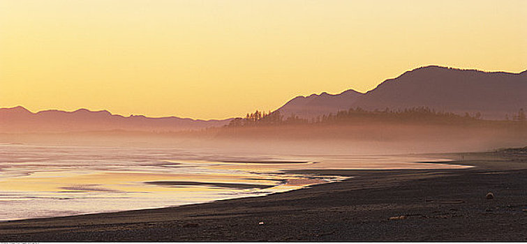 日落,长滩,环太平洋国家公园,不列颠哥伦比亚省,加拿大