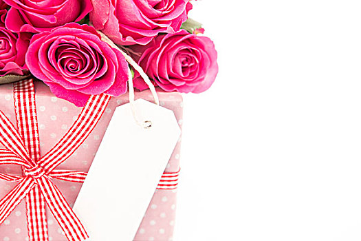 特写,花束,粉色,玫瑰,靠近,礼物,留白,卡,白色背景