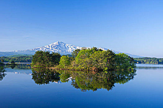 山,春天