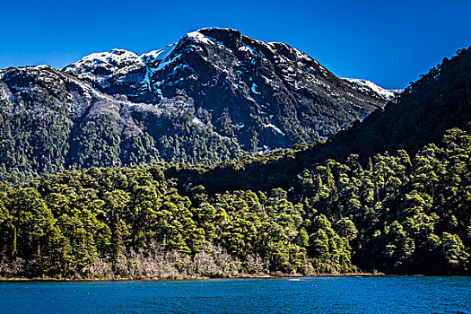 风景,湖,山,纳韦尔瓦皮,国家公园,阿根廷