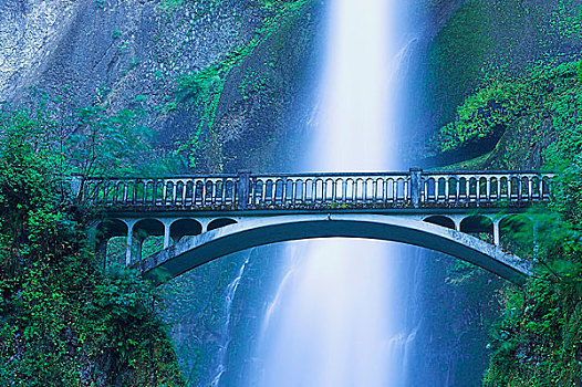 桥,马尔特诺马瀑布,哥伦比亚,河,峡谷,国家,景色,区域,俄勒冈,美国