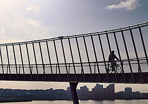 男人,骑自行车,天桥