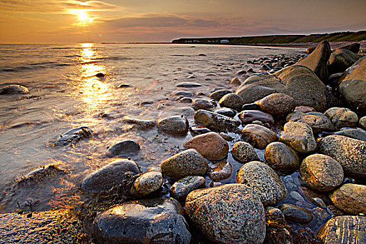 岩石,海岸线,绿色,指点,日落,格罗莫讷国家公园,世界遗产,维京观景小道,北方,半岛,纽芬兰,拉布拉多犬,加拿大