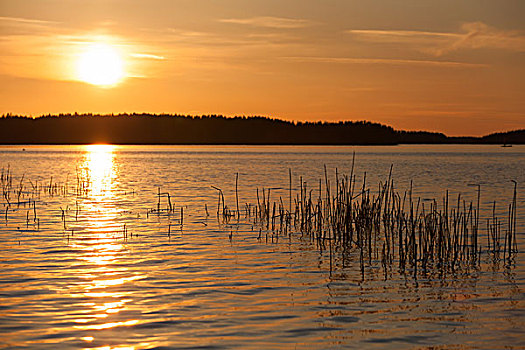 橙色,日落,湖,芬兰