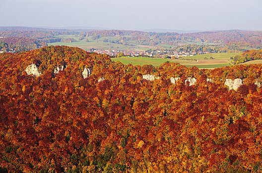 秋日树林,巴登符腾堡,德国