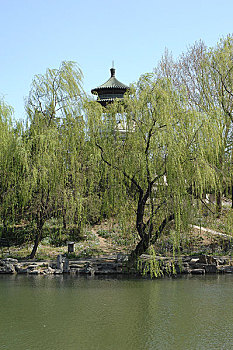 北京清华大学内近春园