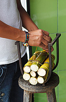 系,节茎植物,杆,出售,帕斯塔萨,省,厄瓜多尔,南美