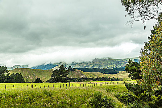 新西兰牧场疾驶