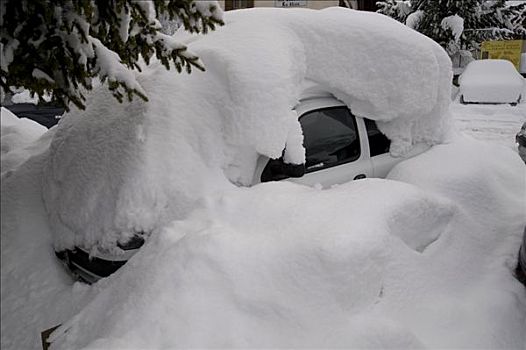 汽车,掩埋,堆,雪,白云岩,意大利,欧洲