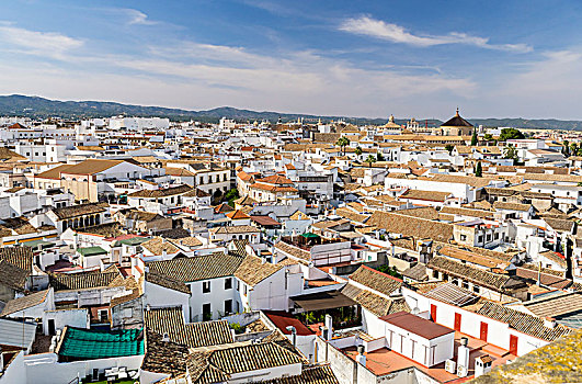 风景,老城,科多巴,安达卢西亚,西班牙,欧洲