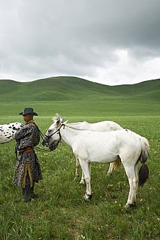 男人,马,那达慕大会,赛马,内蒙古,中国