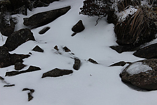 苍山雪