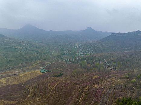 山东蒙阴岱崮地貌桃花盛开