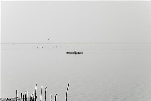 剪影,一个人,泛舟,河,哥伦比亚