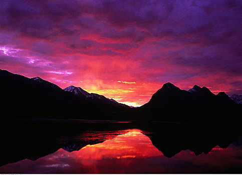 湖,日落,艾伯塔省,加拿大