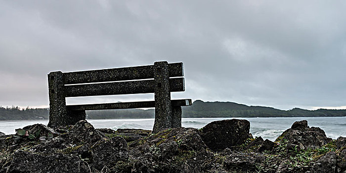长椅,坐,岩石上,水边,环太平洋国家公园,不列颠哥伦比亚省,加拿大