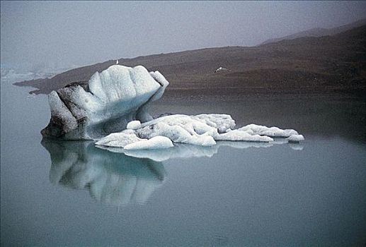 浮冰,海洋,寒冷,冰岛,欧洲