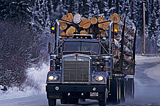 伐木,卡车,山谷,不列颠哥伦比亚省,加拿大