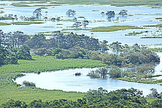 洪水,钏路,湿地,北海道