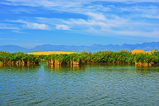 宁夏回族自治区,沙湖景观