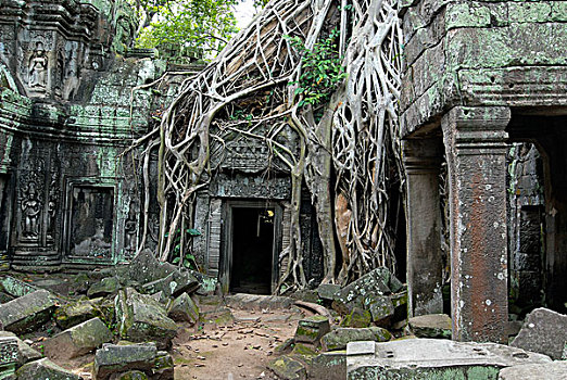 老,庙宇,入口,繁茂,吴哥,接缝,收获,柬埔寨,亚洲