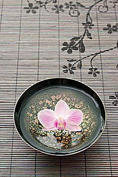 兰花,亚洲,碗,水