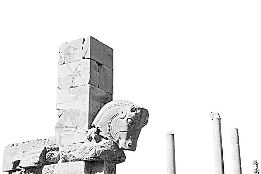 伊朗,波斯波利斯,古遗址,历史,目的地,纪念碑,遗址