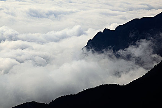 山,云海,雾