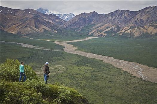 夫妻,俯瞰,山谷,多彩,德纳里峰国家公园,阿拉斯加,夏天