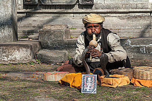 耍蛇,帕斯帕提那神庙,加德满都,尼泊尔,亚洲