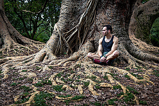 男青年,坐,公园,树,根部,圣保罗,巴西