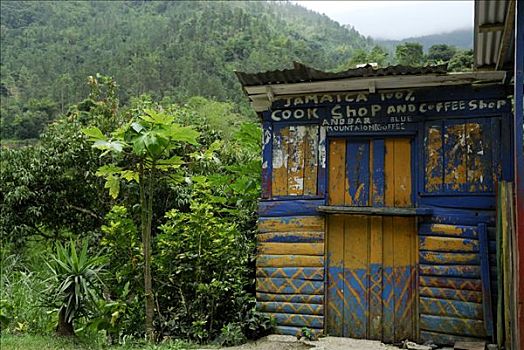 小屋,树林,牙买加,加勒比海,中美洲
