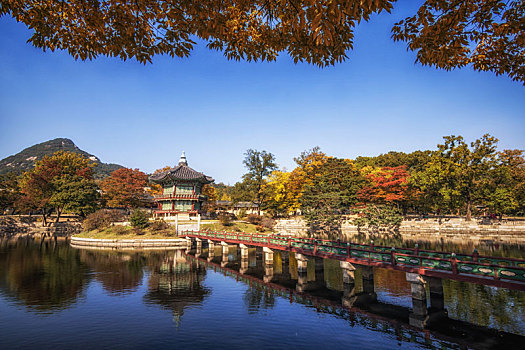 亭子,花园,秋叶,风景,景福宫,首尔,韩国