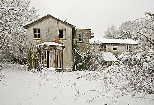正面,风景,废弃,房子,雪,场景,围绕,树