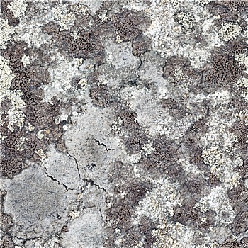 花冈岩,石头,苔藓,无缝,纹理