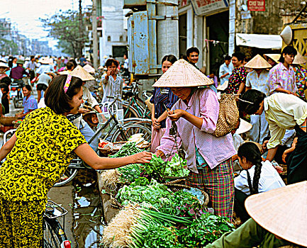 出售,给,新鲜,蔬菜,越南
