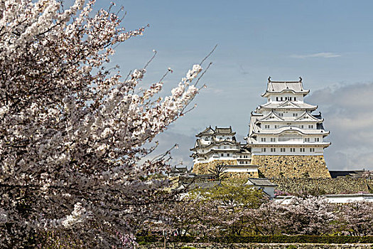 姬路城堡,姬路,亚洲,日本