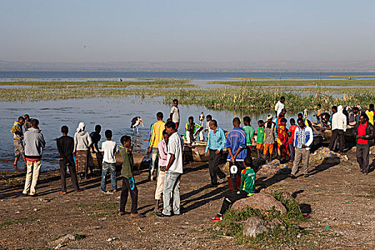 埃塞俄比亚,堤岸,湖,渔民,钓鱼,消费者,鱼市