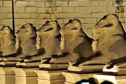 狮身人面像,雕塑,卡尔纳克神庙,路克索神庙,尼罗河流域,埃及,非洲